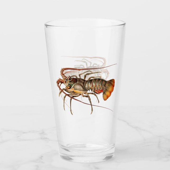 Rock Lobster - Panulirus Regis Glass (Front)