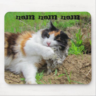 Rock Nom Cat Food Mouse Mat