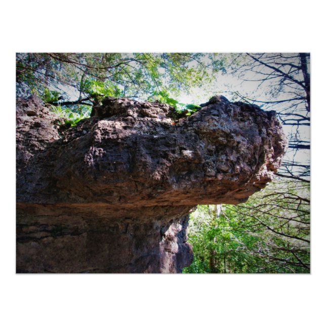 "Rock-opotamus" Photo Print (Front)