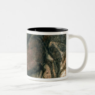 Rock painting of a black bull, c.17000 BC (cave pa Two-Tone Coffee Mug