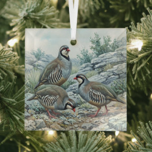Rock Partridge ,Alectoris Graeca Hunting Birds Glass Tree Decoration