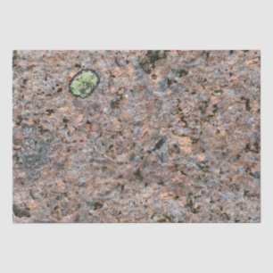 Rock Photo Geology Texture with Moss Tissue Paper