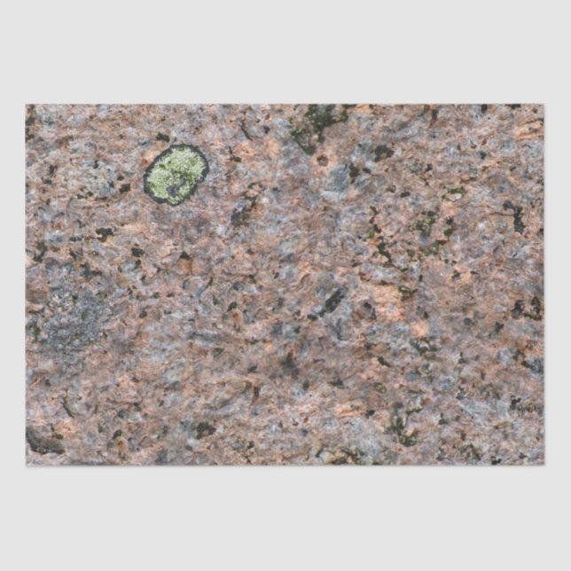 Rock Photo Geology Texture with Moss Tissue Paper (Front)