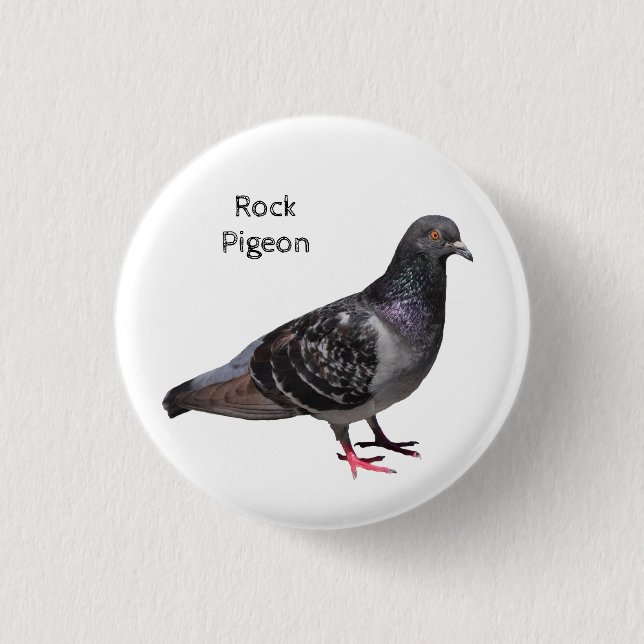 Rock Pigeon 3 Cm Round Badge (Front)