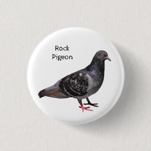 Rock Pigeon 3 Cm Round Badge