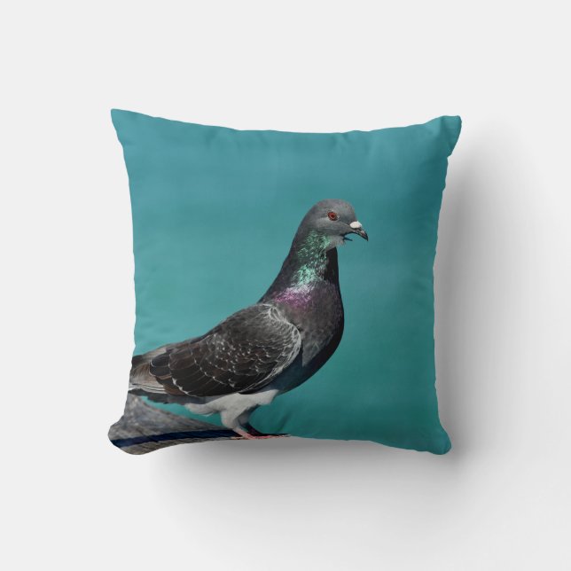 Rock Pigeon Cushion (Front)