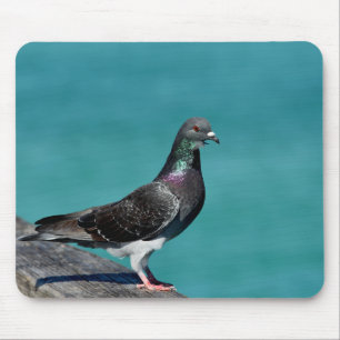 Rock Pigeon Mouse Mat