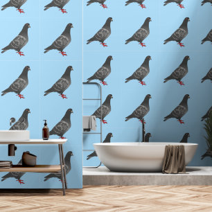 Rock Pigeon on Blue Sky Wallpaper