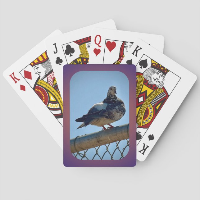 Rock Pigeon Playing Cards (Back)