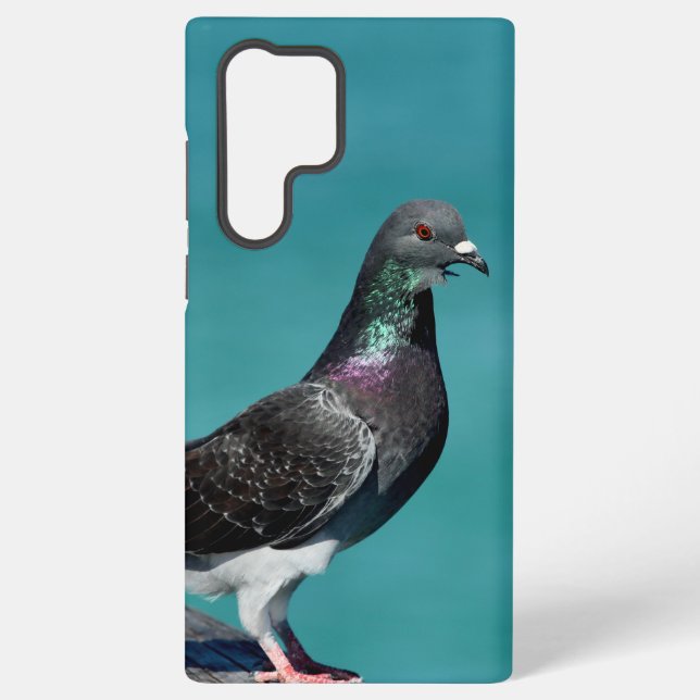 Rock Pigeon Samsung Phone Cases (Back)