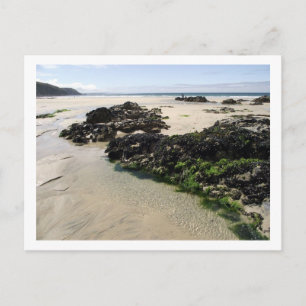 Rock Pools Postcard
