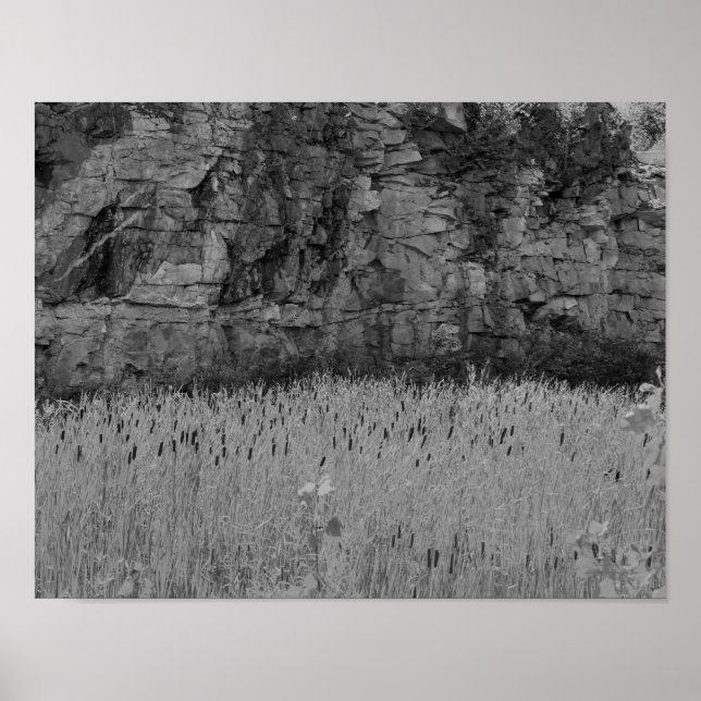 Rock Quarry Cliff Cattails Black And White  Poster (Front)
