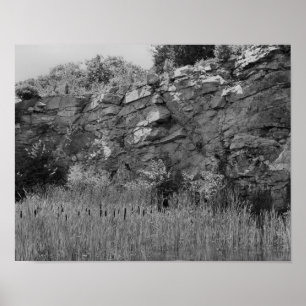 Rock Quarry Wall Cattails 2 Black And White Poster