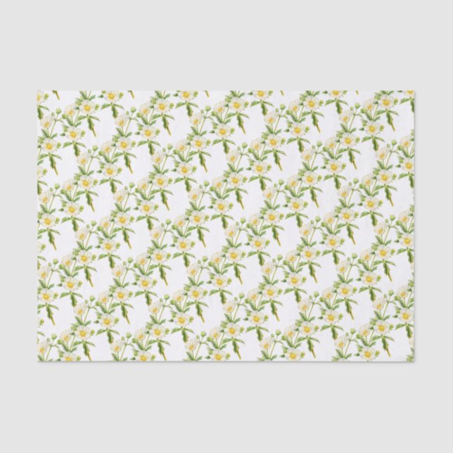 Rock rose art floral white tissue paper (Front)
