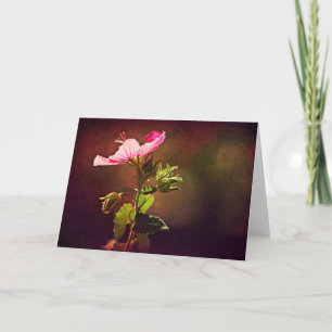 Rock Rose Bible Verse Card Isaiah 60