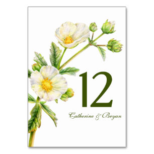 Rock rose watercolor flower wedding table number