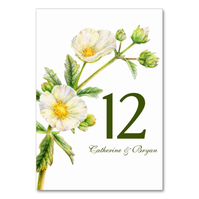 Rock rose watercolor flower wedding table number (Front)
