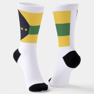 Rock Springs (Wyoming) city flag Socks