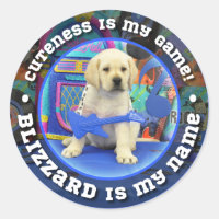 Rock Star Blizzard