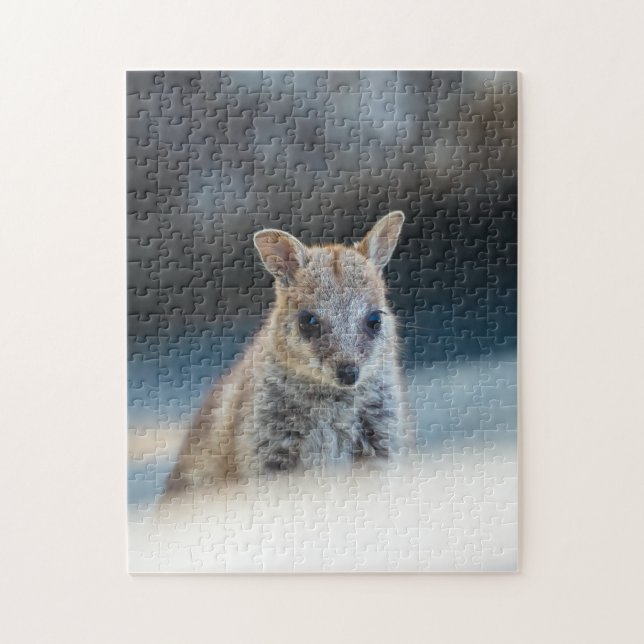 Rock Wallaby Joey Portrait – Australian Wildlife  Jigsaw Puzzle (Vertical)