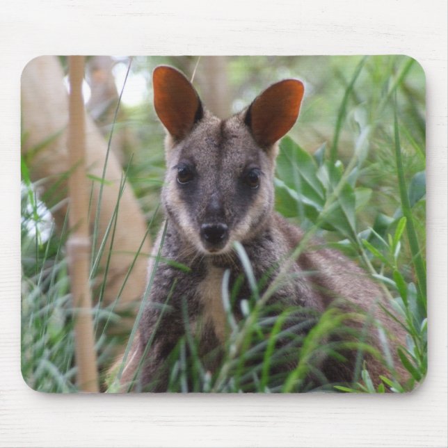 Rock Wallaby Mouse Mat (Front)