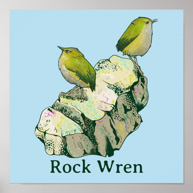 Rock Wren birds New Zealand Poster (Front)
