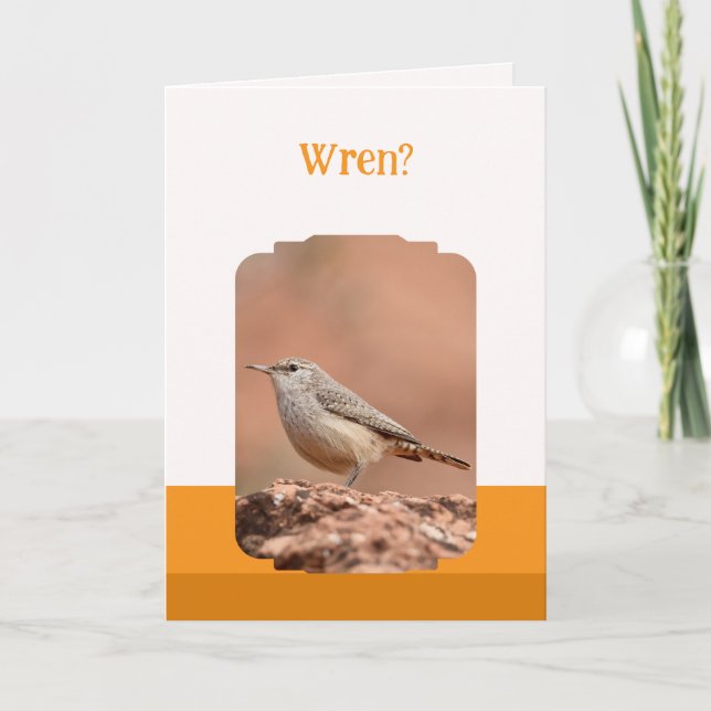 Rock Wren Folded Birthday Card (Front)