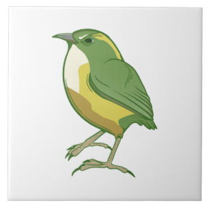 Rock Wren New Zealand Bird Tile