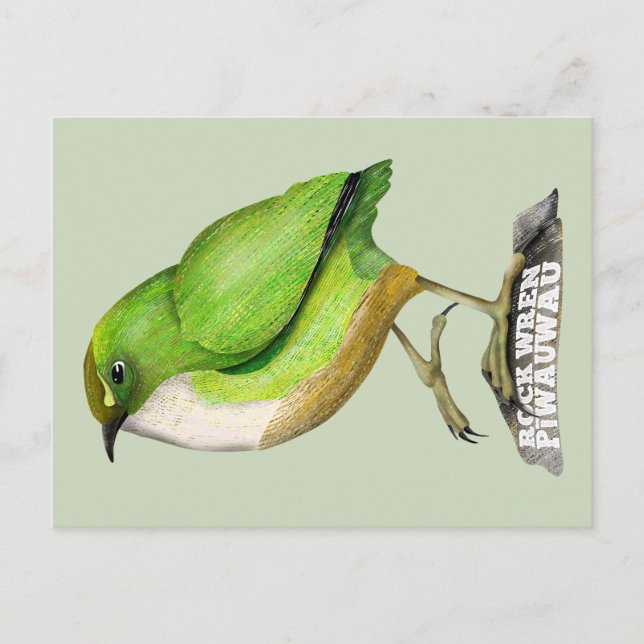 Rock Wren piwauwau NZ BIRD Postcard (Front)