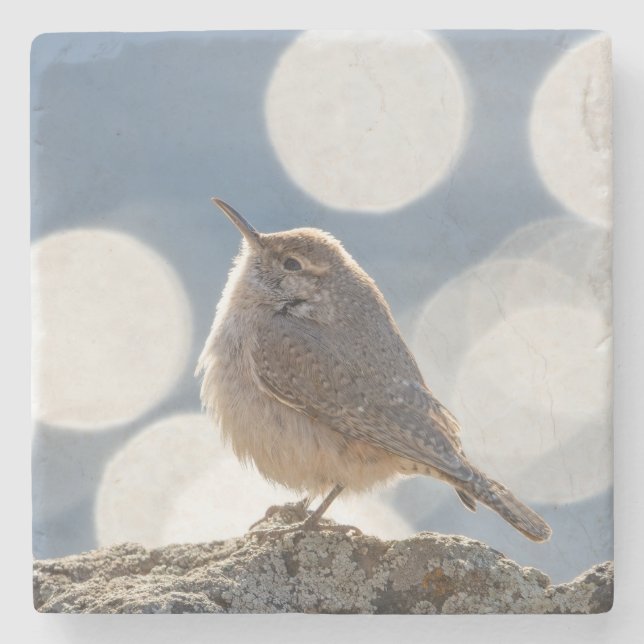 Rock Wren Stone Coaster (Front)