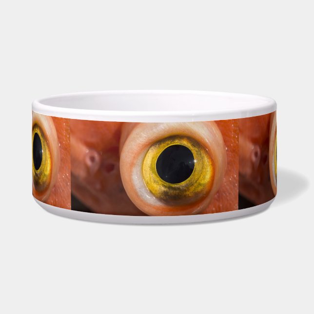 Rockfish Eye (Front)