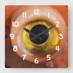 Rockfish Eye Square Wall Clock