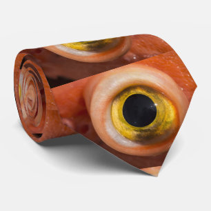 Rockfish Eye Tie