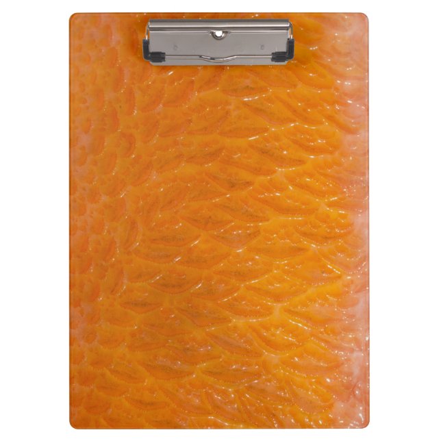 Rockfish Skin Clipboard (Front)