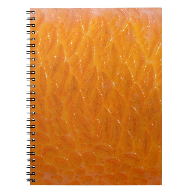 Rockfish Skin Notebook (Front)