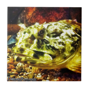 Rockfish Tile