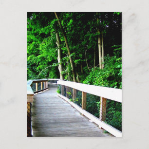 Rockford Michigan Walking Trail Postcard
