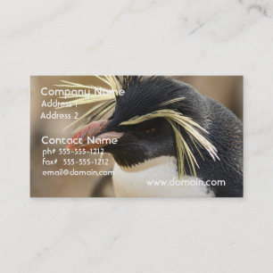 Rockhopper Penguin  Business Cards