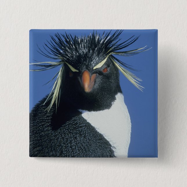 Rockhopper Penguin (Eudyptes chrysocome) 15 Cm Square Badge (Front)
