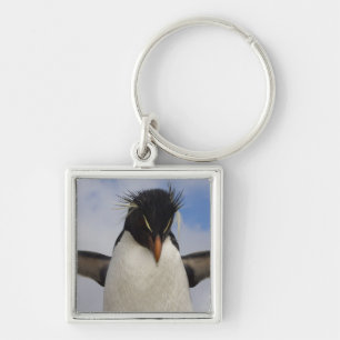 Rockhopper Penguin Eudyptes chrysocome Key Ring