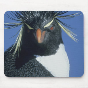 Rockhopper Penguin (Eudyptes chrysocome) Mouse Mat