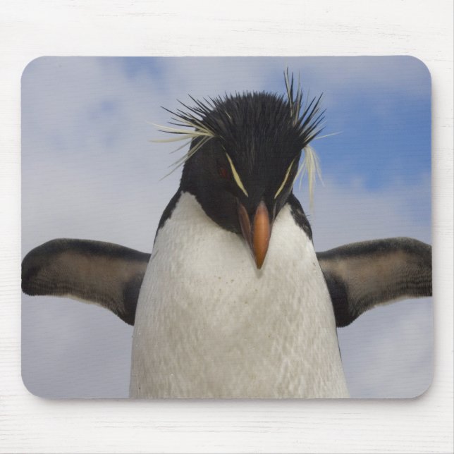 Rockhopper Penguin Eudyptes chrysocome Mouse Mat (Front)