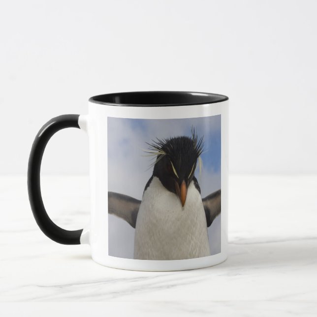 Rockhopper Penguin Eudyptes chrysocome Mug (Left)