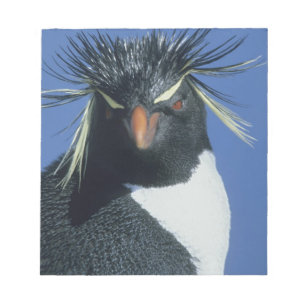 Rockhopper Penguin (Eudyptes chrysocome) Notepad