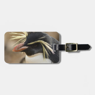 Rockhopper Penguin  Luggage Tag
