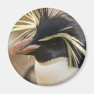 Rockhopper Penguin  Magnet