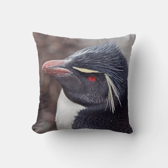 Rockhopper Penguin Pillow (Front)