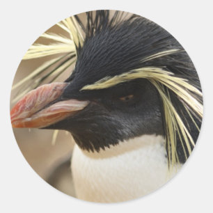 Rockhopper Penguin  Stickers