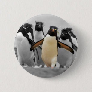 Rockhopper Penguins 6 Cm Round Badge