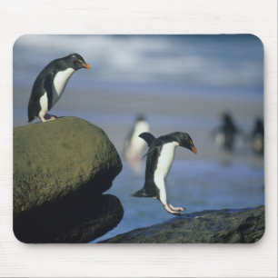 Rockhopper Penguins, Eudyptes chrysocome), Mouse Mat